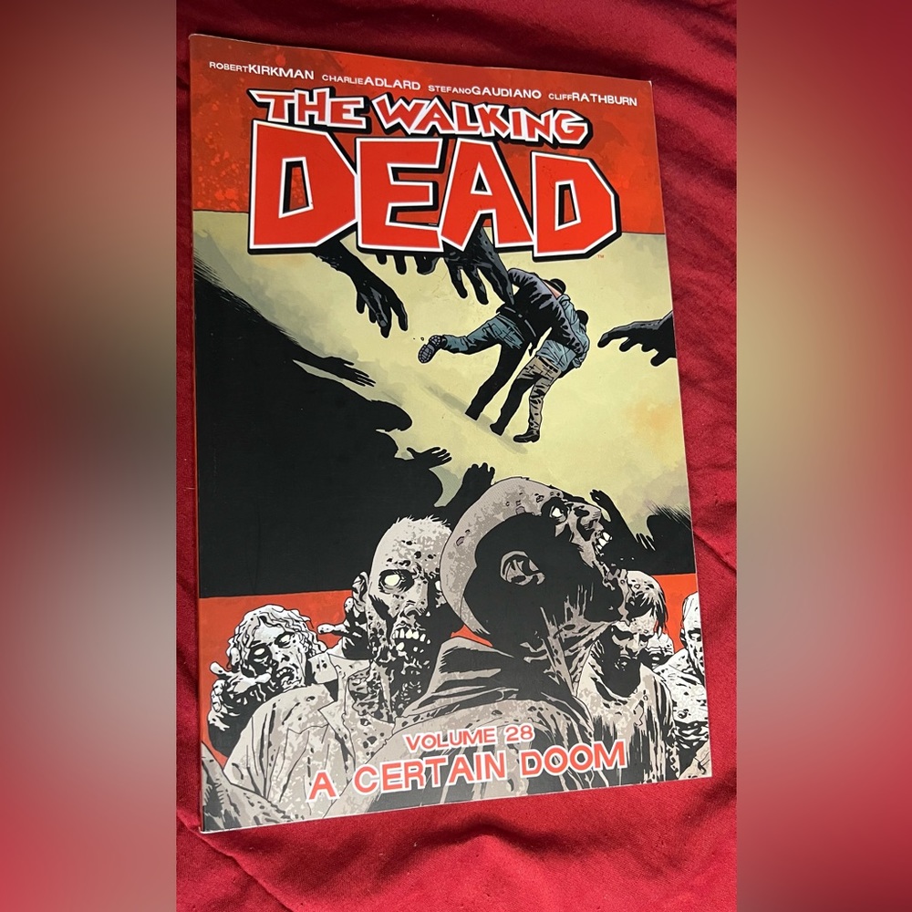The walking dead 28